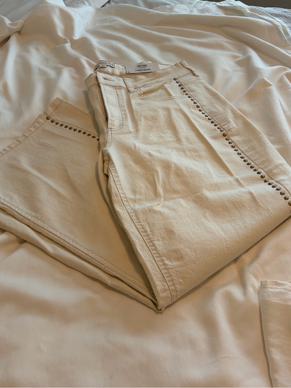 Wide-Leg Studded Trim Pants in Cream